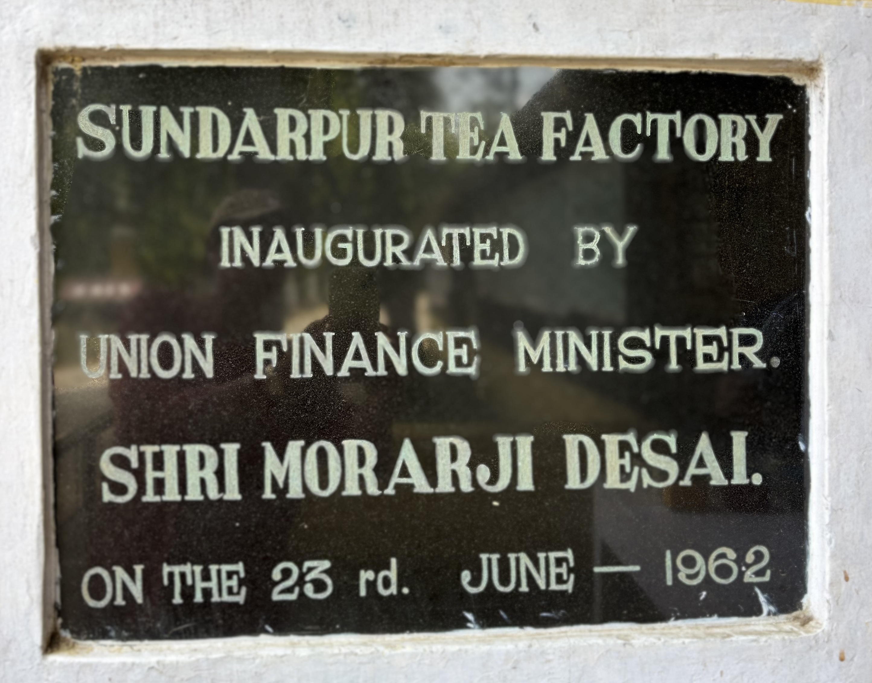 Premium Steeping Infusion Character